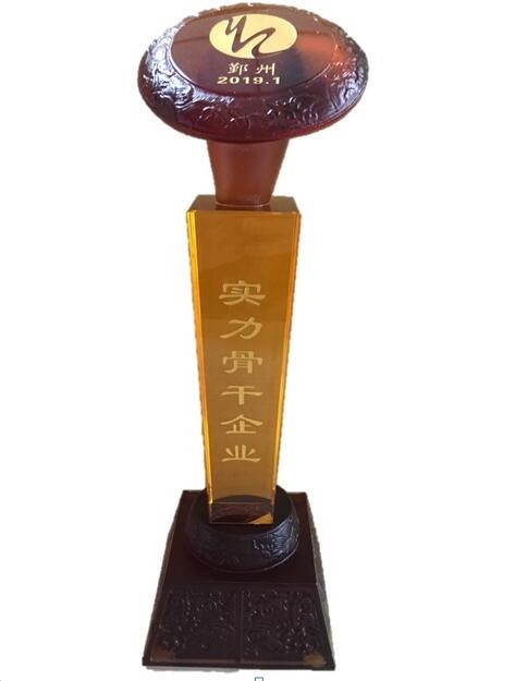 P93-2019.1-鄞州區(qū)實(shí)力骨干獎(jiǎng).jpg